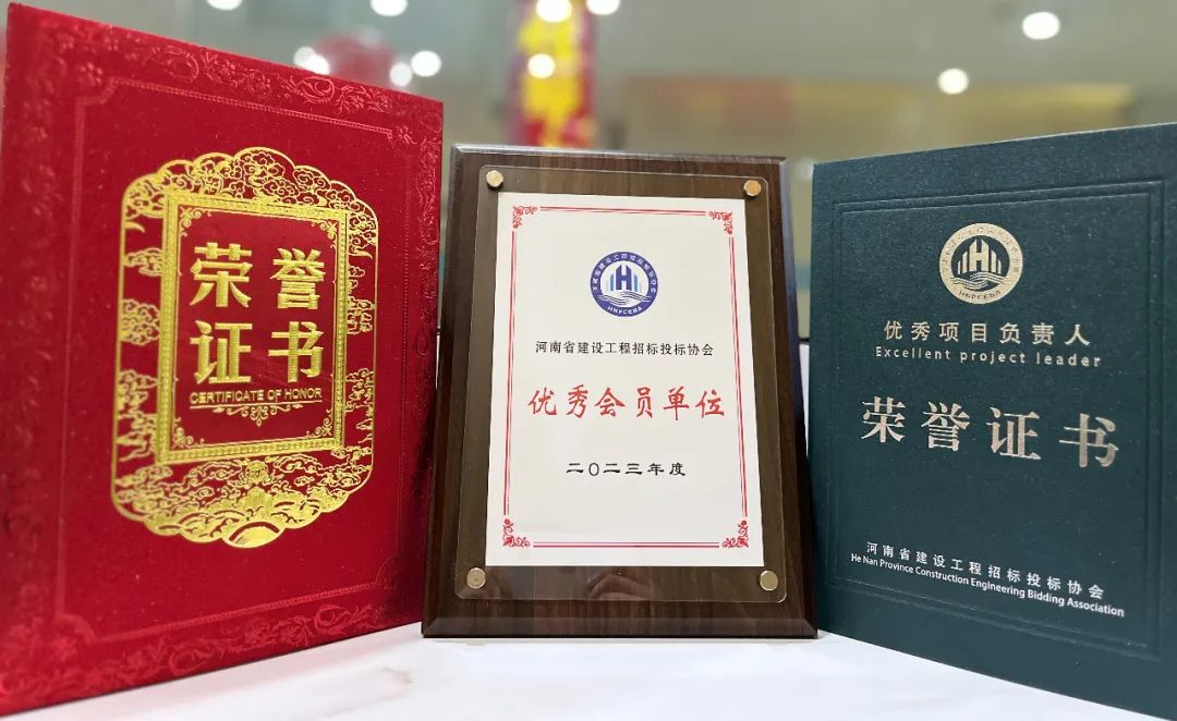 喜報丨飛洋咨詢榮獲“2023年度優(yōu)秀會員單位”、“2023年度優(yōu)秀項目負(fù)責(zé)人”等榮譽稱號